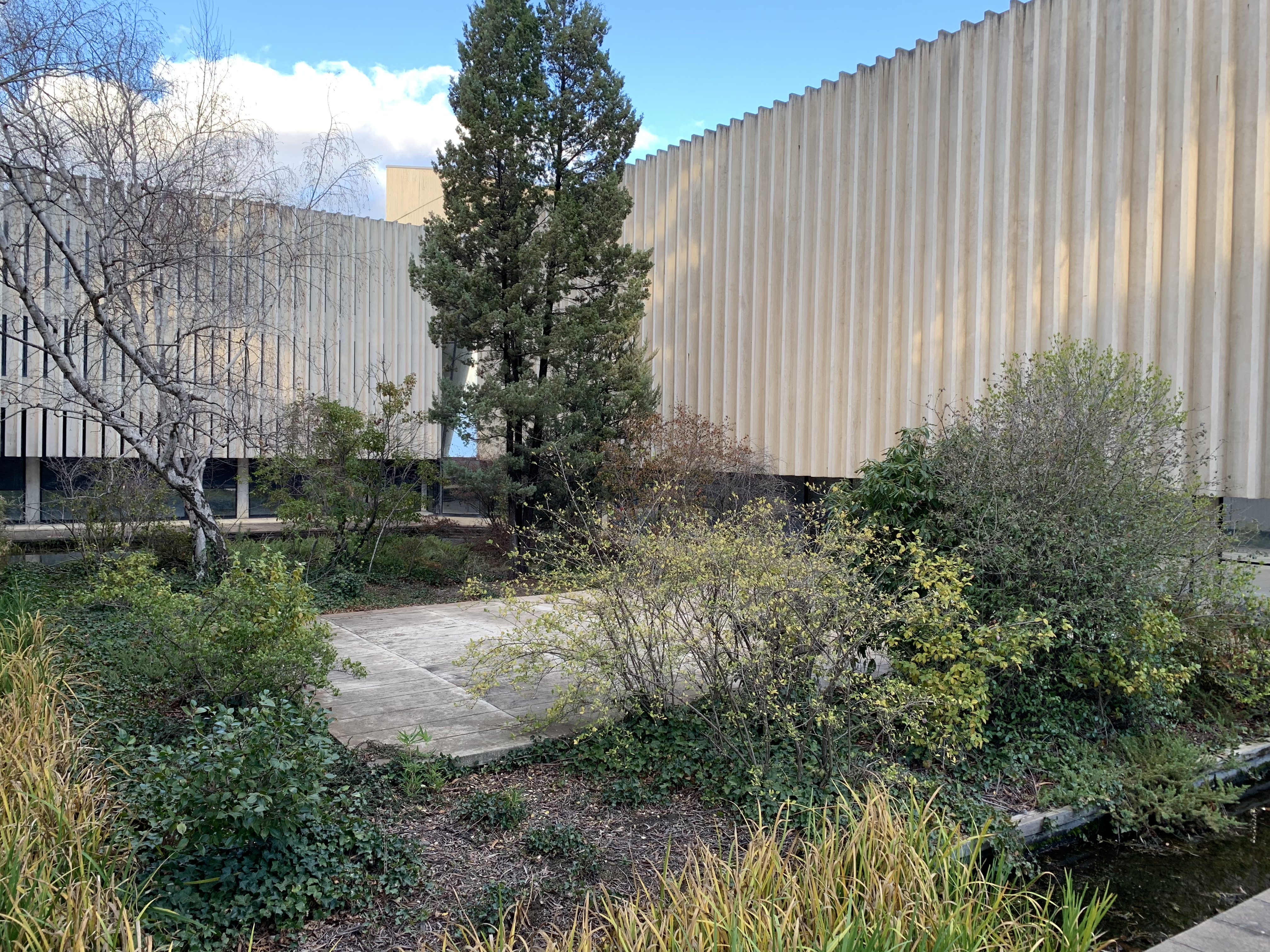 Image of Churchill House's courtyard