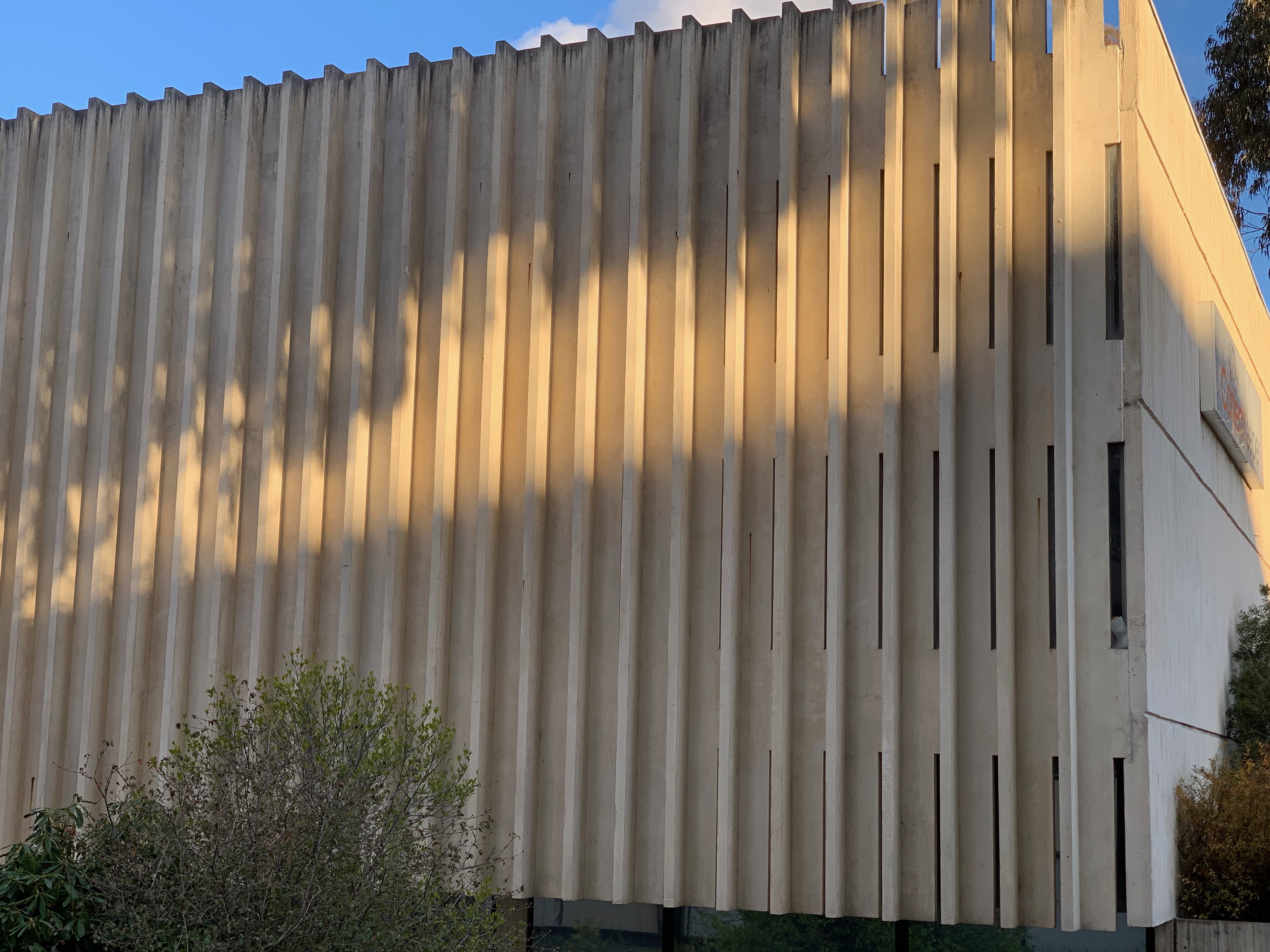 Image showcasing the structral fins